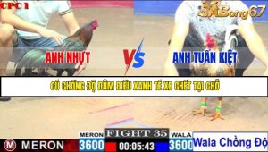 Trận 35 Bồ Gà C1 Ngày 28/7/2025