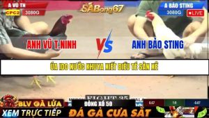 Trận 35 Bồ Gà C2 Ngày 16/7/2025