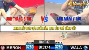 Trận 37 Bồ Gà C3 Ngày 27/7/2025