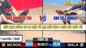 Trận 38 Bồ Gà C3 Ngày 11/7/2025
