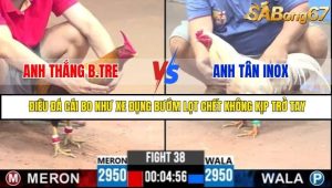 Trận 38 Bồ Gà C3 Ngày 29/7/2025