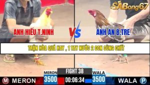 Trận 38 Bồ Gà C3 Ngày 30/7/2025