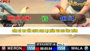 Trận 4 Bồ Gà C1 7/7/2025