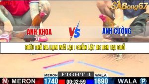 Trận 4 Bồ Gà C1 Ngày 28/7/2025