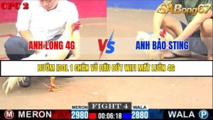 Trận 4 Bồ Gà C2 Ngày 16/7/2025