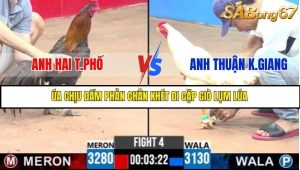 Trận 4 Bồ Gà C3 2/7/2025