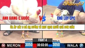 Trận 4 Bồ Gà C3 6/7/2025
