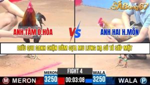 Trận 4 Bồ Gà C3 Ngày 25/7/2025