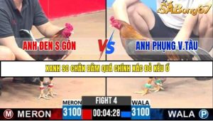 Trận 4 Bồ Gà C3 Ngày 28/7/2025