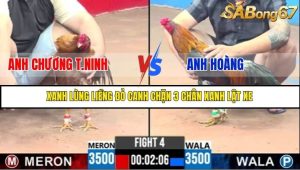Trận 4 Bồ Gà C3 Ngày 8/7/2025