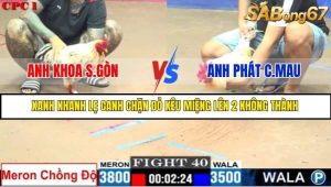 Trận 40 Bồ Gà C1 Ngày 24/7/2025