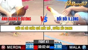 Trận 41 Bồ Gà C3 Ngày 8/7/2025