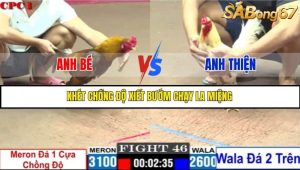 Trận 46 Bồ Gà C1 7/7/2025