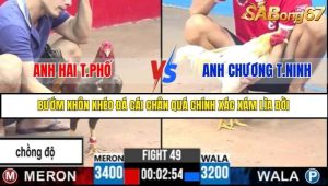 Trận 49 Bồ Gà C3 Ngày 8/7/2025