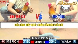 Trận 5 Bồ Gà C1 Ngày 10/7/2025