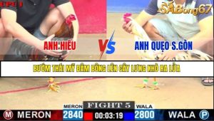 Trận 5 Bồ Gà C1 Ngày 19/7/2025