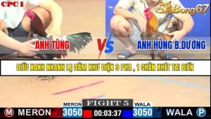 Trận 5 Bồ Gà C1 Ngày 23/7/2025