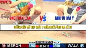 Trận 5 Bồ Gà C2 Ngày 11/7/2025