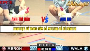 Trận 5 Bồ Gà C2 Ngày 20/7/2025