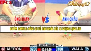 Trận 5 Bồ Gà C2 Ngày 23/7/2025