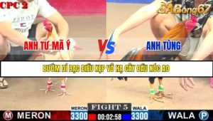 Trận 5 Bồ Gà C2 Ngày 25/7/2025