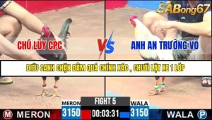 Trận 5 Bồ Gà C3 6/7/2025