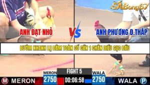Trận 5 Bồ Gà C3 Ngày 25/7/2025