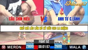 Trận 52 Bồ Gà C3 Ngày 8/7/2025