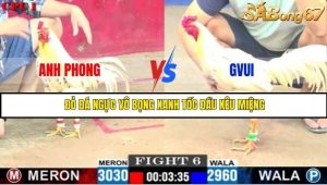 Trận 6 Bồ Gà C1 3/7/2025