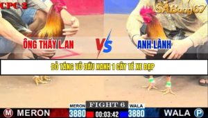 Trận 6 Bồ Gà C2 Ngày 11/7/2025