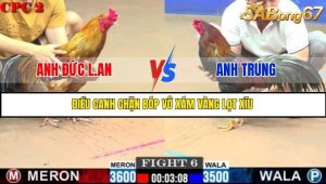 Trận 6 Bồ Gà C2 Ngày 23/7/2025