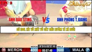 Trận 6 Bồ Gà C2 Ngày 9/7/2025