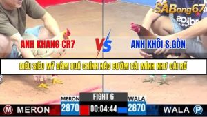Trận 6 Bồ Gà C3 Ngày 19/7/2025