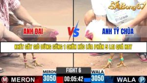 Trận 6 Bồ Gà C3 Ngày 26/7/2025