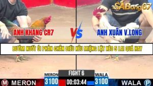 Trận 6 Bồ Gà C3 Ngày 27/7/2025