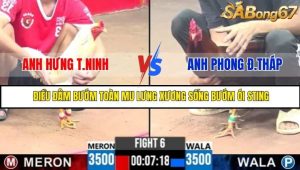 Trận 6 Bồ Gà C3 Ngày 28/7/2025