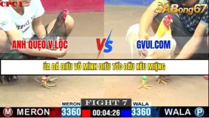 Trận 7 Bồ Gà C1 Ngày 12/7/2025