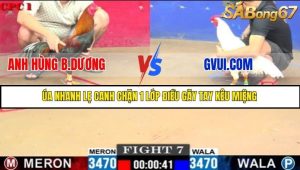 Trận 7 Bồ Gà C1 Ngày 23/7/2025