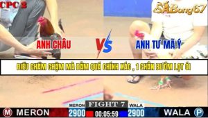 Trận 7 Bồ Gà C2 Ngày 18/7/2025
