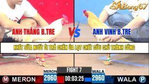 Trận 7 Bồ Gà C3 Ngày 10/7/2025