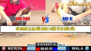 Trận 8 Bồ Gà C1 1/7/2025