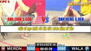 Trận 8 Bồ Gà C1 3/7/2025