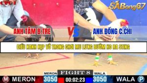 Trận 8 Bồ Gà C1 Ngày 19/7/2025