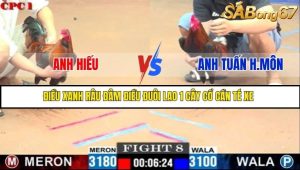 Trận 8 Bồ Gà C1 Ngày 23/7/2025