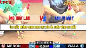 Trận 8 Bồ Gà C2 Ngày 11/7/2025