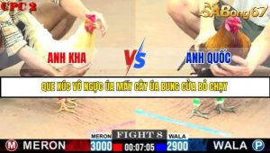 Trận 8 Bồ Gà C2 Ngày 13/7/2025