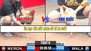 Trận 8 Bồ Gà C2 Ngày 23/7/2025