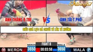 Trận 8 Bồ Gà C3 3/7/2025