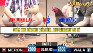 Trận 8 Bồ Gà C3 Ngày 10/7/2025
