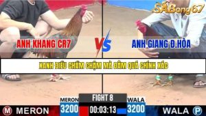 Trận 8 Bồ Gà C3 Ngày 13/7/2025